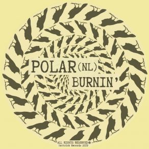 Download track In The Semi Polar (NL)