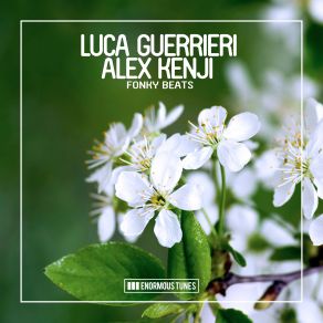 Download track Fonky Beats (Original Club Mix) Alex Kenji, Luca Guerrieri