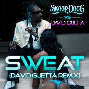 Download track Wet (David Guetta Remix) David Guetta, Snoop Dogg