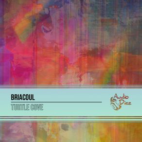 Download track Turtle Cove (Emess Eye Radio Edit) BriacoulEmess Eye