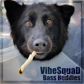 Download track ZipperMerge Vibesquad