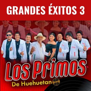 Download track Encontré A Mi Amor Los Primos De Huehuetan
