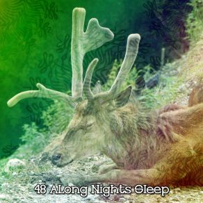 Download track Find Soothing Sleep Soothing White Noise For Relaxation