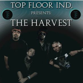 Download track Throw Your Hood Up Top Floor IND