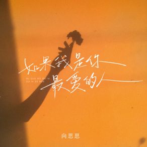 Download track 如果我是你最爱的人 (合唱版) 向思思