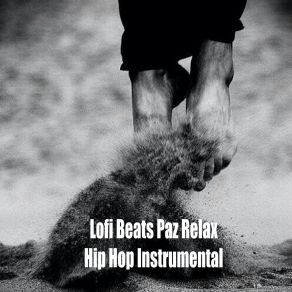 Download track Lofi Chillhop Conquers Lo-Fi BeatsBeats De Rap, ChillHop Beats