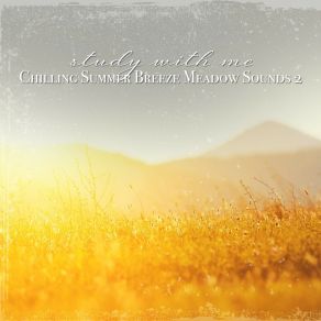 Download track Chilling Summer Breeze Meadow Sounds, Pt. 9 Sebastian Riegl