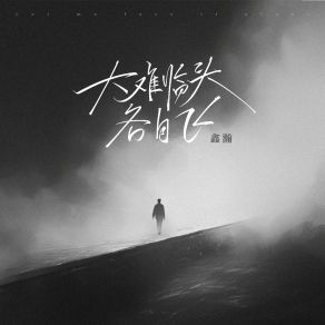 Download track 大难临头各自飞 (伴奏版) 鑫瀚