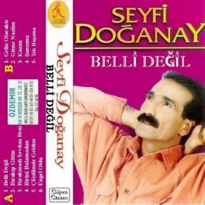 Download track Gitme Nazlım Seyfi Doğanay