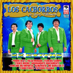 Download track Como Crees Los Cachorros De Juan Villarreal