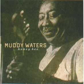 Download track Can'T Get No Grindin' Muddy Waters