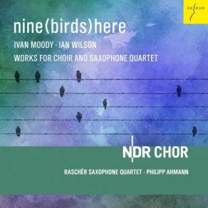 Download track Moons And Suns NDR Chor, Raschèr Saxophone Quartet, Philipp Ahmann