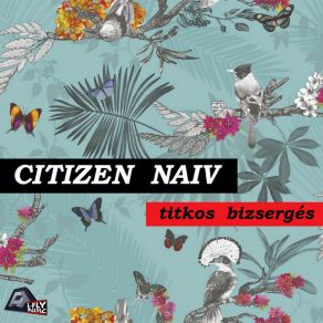 Download track Ufo Lány Dala (Original Mix) Citizen Naïv