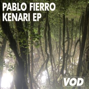 Download track Kenari Pablo Fierro