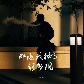 Download track 那晚我抽了很多烟 Xiao He