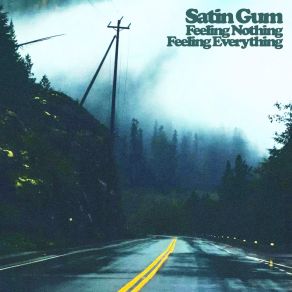 Download track Bad Dream Satin Gum