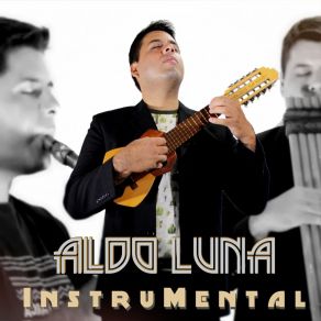 Download track Viejo Horizonte Aldo Luna