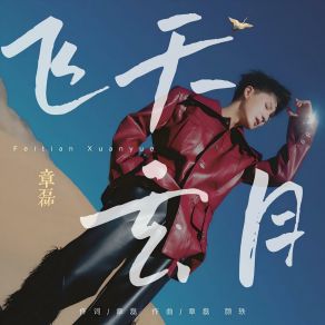 Download track 飞天玄月 Zhang Lei