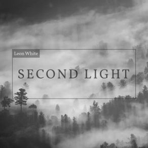 Download track Second Light Leon White