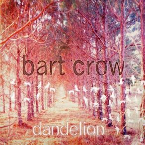 Download track Didn'T Mean To Break Your Heart Bart Crow Band