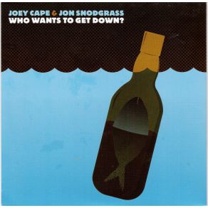 Download track I'M Not Gonna Save You Joey Cape