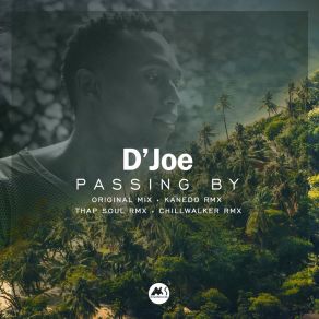 Download track Passing By (Thap Soul Remix) D'JoeThap'soul