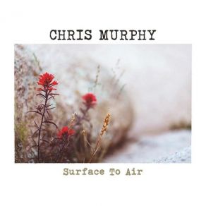 Download track Surface To Air Chris Murphy