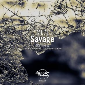 Download track Savage (Kevin Holdeen Remix) Mldj