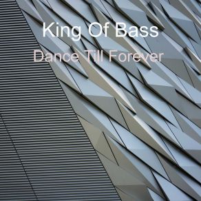 Download track Forever Love Bass Dnb King Of Bass