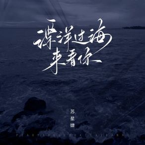 Download track 漂洋过海来看你 (伴奏) 苏星婕