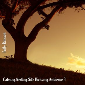 Download track Calming Nesting Site Birdsong Ambience, Pt. 8 Steve Brassel