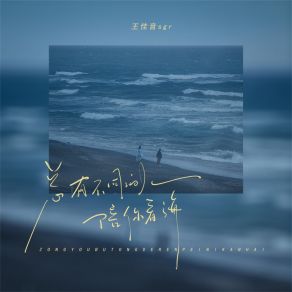 Download track 总有不同的人陪你看海 王佳音Sgr