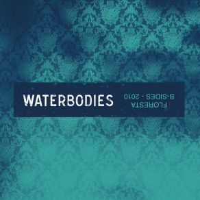 Download track Mechanical Birds Waterbodies