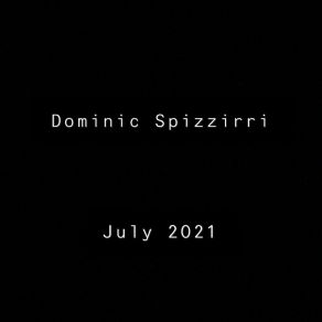 Download track Ds Twenty Three Dominic Spizzirri