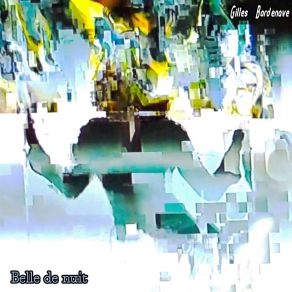 Download track Belle De Nuit Gilles Bordenave