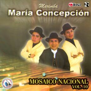 Download track Mix Cumbias 1: Santa Cruz Comitancillo / Concepción Tutuapa / Bailando Con La Llorona / La Pulga Mixqueña Marimba Maria Concepcion