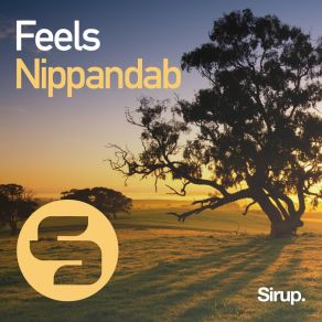 Download track Feels Nippandab