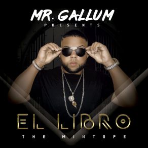 Download track Ella Quiere Felpa Mr. Gallum