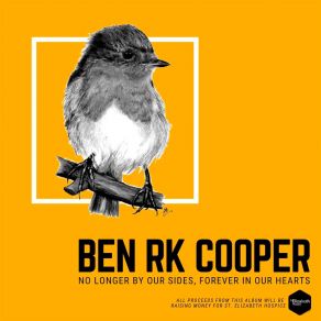 Download track Desperado Ben RK Cooper