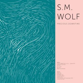 Download track Try To S. M. Wolf