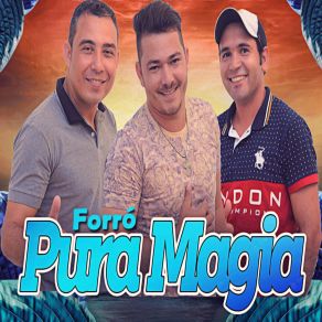 Download track Eu Te Amei Forró Pura Magia