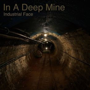 Download track To Down Industrial Face