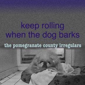 Download track Cold Pomegranate 19 (When Did You) The Pomegranate County Irregulars