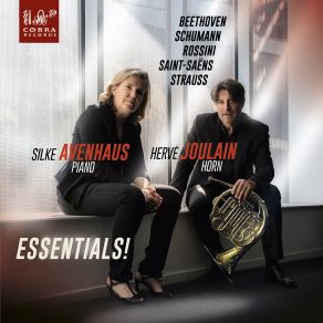 Download track Introduction, Theme And Var. In Eb Variation 3 Silke Avenhaus, Herve Joulain