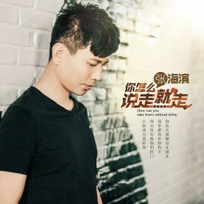 Download track 你怎么说走就走 (Dj何鹏 Remix) 张海滨