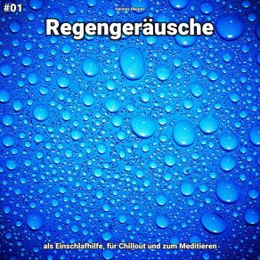 Download track Regengeräusche, Pt. 29 Hennes Meines