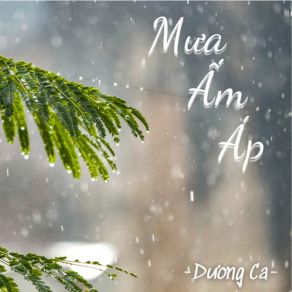 Download track Mưa Ấm Áp Beat Dương Ca