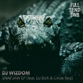 Download track Snapjaw DJ WizdomDJ Buk