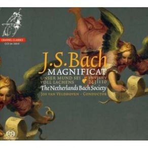 Download track 13. Magnificat BWV243 - 06. Aria (Bass) Quia Fecit Mihi Magna Johann Sebastian Bach