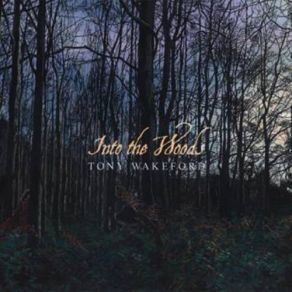 Download track In The Woods Tony Wakeford, Andrew King, Kris Force